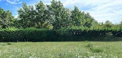 Terrain et maison à Pommeuse en Seine-et-Marne (77) de 124 m² à vendre au prix de 309570€ - 3