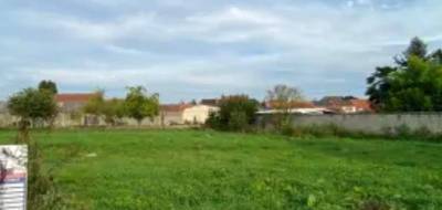 Terrain à Roost-Warendin en Nord (59) de 600 m² à vendre au prix de 59000€ - 1