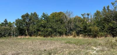 Terrain à Villeneuve-lès-Bouloc en Haute-Garonne (31) de 374 m² à vendre au prix de 73000€ - 1
