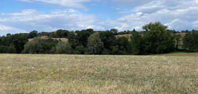 Terrain à Montfa en Tarn (81) de 1300 m² à vendre au prix de 65000€ - 1