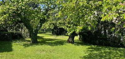 Terrain et maison à Irigny en Rhône (69) de 104 m² à vendre au prix de 565453€ - 3