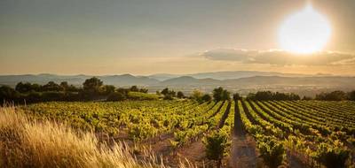 Terrain à Montfrin en Gard (30) de 450 m² à vendre au prix de 118000€ - 1