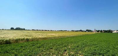 Terrain à Arras en Pas-de-Calais (62) de 483 m² à vendre au prix de 59000€ - 3