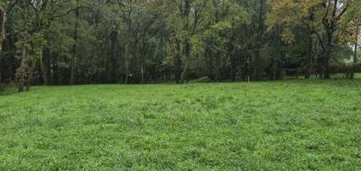 Terrain et maison à Montigny-sur-Loing en Seine-et-Marne (77) de 113 m² à vendre au prix de 356000€ - 4