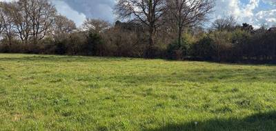 Terrain à Chaumes-en-Retz en Loire-Atlantique (44) de 318 m² à vendre au prix de 66900€ - 3