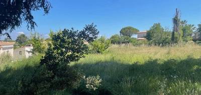 Terrain à Pélissanne en Bouches-du-Rhône (13) de 856 m² à vendre au prix de 300000€ - 1