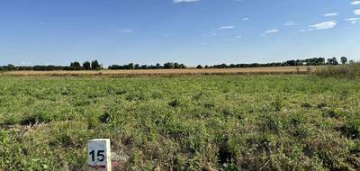 Terrain et maison à Baralle en Pas-de-Calais (62) de 95 m² à vendre au prix de 224000€ - 3