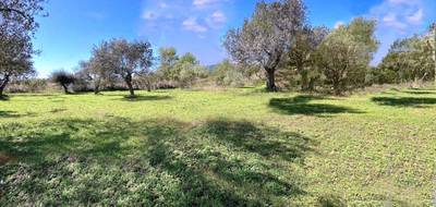 Terrain à Bagnols-en-Forêt en Var (83) de 1600 m² à vendre au prix de 200000€ - 4