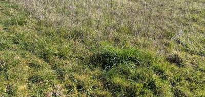 Terrain et maison à Coulombiers en Vienne (86) de 89 m² à vendre au prix de 171920€ - 4
