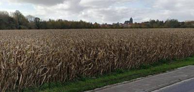 Terrain à Beuvry en Pas-de-Calais (62) de 536 m² à vendre au prix de 56000€ - 3