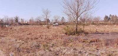 Terrain à Mios en Gironde (33) de 600 m² à vendre au prix de 182000€ - 2