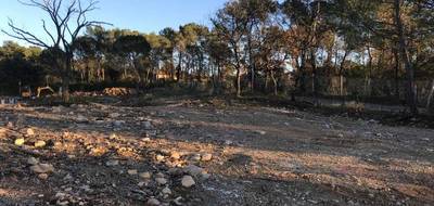 Terrain et maison à Rocbaron en Var (83) de 77 m² à vendre au prix de 241000€ - 4