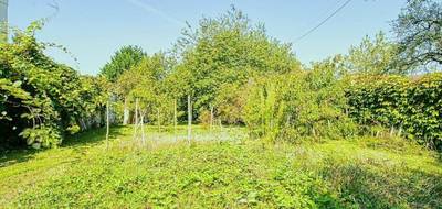 Terrain et maison à Marles-en-Brie en Seine-et-Marne (77) de 80 m² à vendre au prix de 279000€ - 3