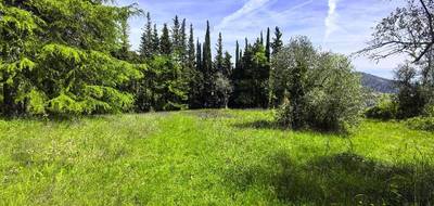 Terrain à Tourrette-Levens en Alpes-Maritimes (06) de 1000 m² à vendre au prix de 295000€ - 1
