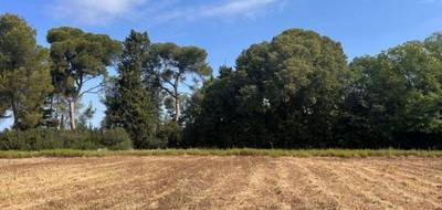 Terrain à Carpentras en Vaucluse (84) de 492 m² à vendre au prix de 139900€ - 2