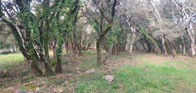 Terrain à Sainte-Anastasie-sur-Issole en Var (83) de 1900 m² à vendre au prix de 136000€ - 1