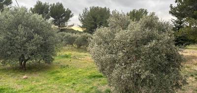Terrain à Saint-Chamas en Bouches-du-Rhône (13) de 544 m² à vendre au prix de 259000€ - 2