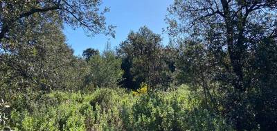 Terrain à Puget en Vaucluse (84) de 1165 m² à vendre au prix de 235000€ - 4