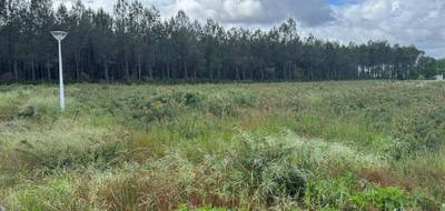 Terrain à Azur en Landes (40) de 610 m² à vendre au prix de 161650€ - 1