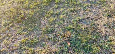 Terrain et maison à Saint-Michel-Chef-Chef en Loire-Atlantique (44) de 90 m² à vendre au prix de 400153€ - 4