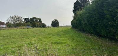 Terrain et maison à Auchy-lez-Orchies en Nord (59) de 106 m² à vendre au prix de 310000€ - 4