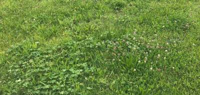 Terrain et maison à Valence-en-Poitou en Vienne (86) de 89 m² à vendre au prix de 174020€ - 4