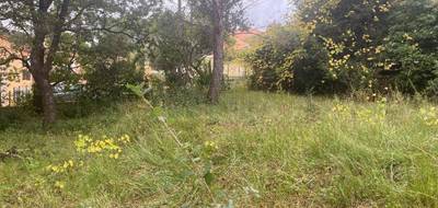 Terrain et maison à Cuers en Var (83) de 90 m² à vendre au prix de 386000€ - 4