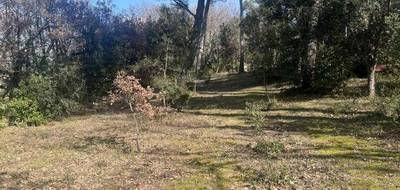 Terrain et maison à La Roque-d'Anthéron en Bouches-du-Rhône (13) de 88 m² à vendre au prix de 339890€ - 4