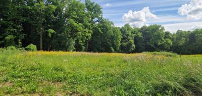Terrain à Vy-lès-Filain en Haute-Saône (70) de 1044 m² à vendre au prix de 0€ - 2
