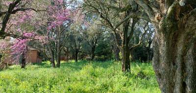 Terrain à Grasse en Alpes-Maritimes (06) de 840 m² à vendre au prix de 275000€ - 2