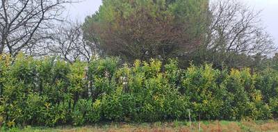 Terrain et maison à Saint-Sulpice-de-Royan en Charente-Maritime (17) de 109 m² à vendre au prix de 389898€ - 4