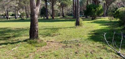 Terrain à Puget-sur-Argens en Var (83) de 5550 m² à vendre au prix de 495000€ - 3