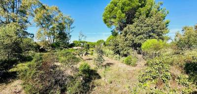 Terrain à Puget-sur-Argens en Var (83) de 656 m² à vendre au prix de 250000€ - 2