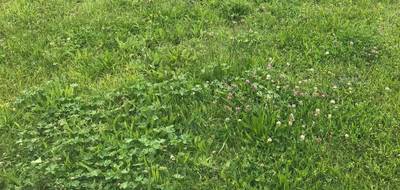 Terrain et maison à Niort en Deux-Sèvres (79) de 71 m² à vendre au prix de 257496€ - 4