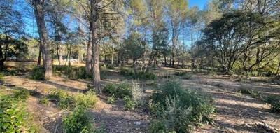 Terrain à Trans-en-Provence en Var (83) de 926 m² à vendre au prix de 189000€ - 3