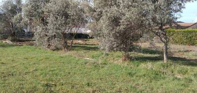 Terrain et maison à Oraison en Alpes-de-Haute-Provence (04) de 90 m² à vendre au prix de 287000€ - 4