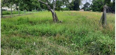Terrain et maison à Audenge en Gironde (33) de 105 m² à vendre au prix de 402400€ - 3