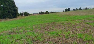 Terrain et maison à Monchy-Breton en Pas-de-Calais (62) de 80 m² à vendre au prix de 222900€ - 3