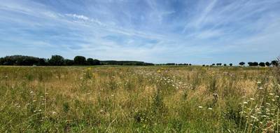 Terrain et maison à Vitry-en-Artois en Pas-de-Calais (62) de 110 m² à vendre au prix de 224000€ - 4