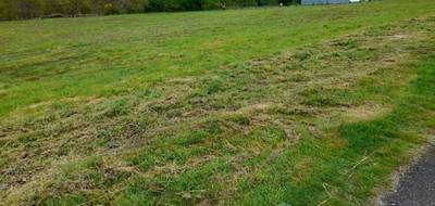 Terrain et maison à Saint-Brice-sur-Vienne en Haute-Vienne (87) de 92 m² à vendre au prix de 213500€ - 4