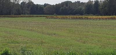 Terrain à Saint-Savin en Gironde (33) de 540 m² à vendre au prix de 44000€ - 1