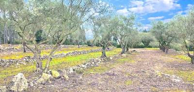 Terrain et maison à Bagnols-en-Forêt en Var (83) de 122 m² à vendre au prix de 535000€ - 4