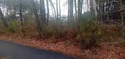 Terrain à Pontenx-les-Forges en Landes (40) de 780 m² à vendre au prix de 106500€ - 1