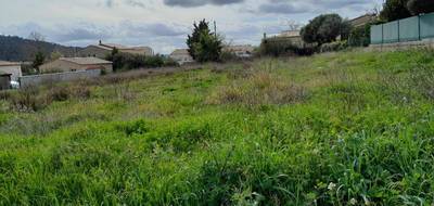 Terrain à Carnoules en Var (83) de 590 m² à vendre au prix de 148000€ - 2