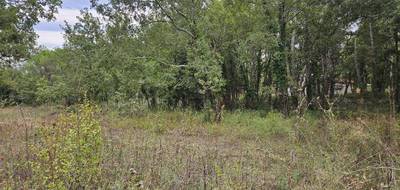 Terrain et maison à Tourrettes en Var (83) de 100 m² à vendre au prix de 485000€ - 4