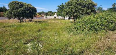Terrain et maison à Saze en Gard (30) de 90 m² à vendre au prix de 279000€ - 4