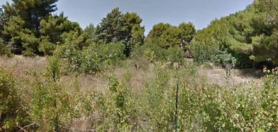 Terrain et maison à Fleury en Aude (11) de 120 m² à vendre au prix de 433176€ - 4