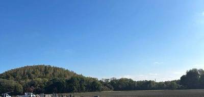 Terrain à Carvin en Pas-de-Calais (62) de 650 m² à vendre au prix de 89000€ - 2