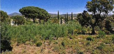 Terrain à Sainte-Maxime en Var (83) de 1271 m² à vendre au prix de 650000€ - 1