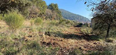 Terrain à Puget-Ville en Var (83) de 650 m² à vendre au prix de 170000€ - 4